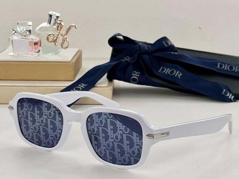 DIOR Sunglasses 137